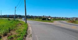 Área Industrial – Terreno 300 Mil M² – Suzano – SP